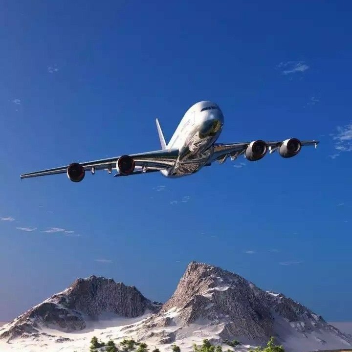 На самолете